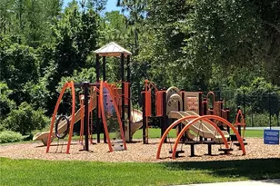 10229 Lake District Ln, Orlando, FL 32832 - Photo 11