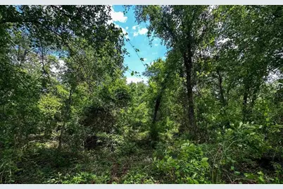 Se Gunpowder Avenue, Madison, FL 32340 - Photo 9