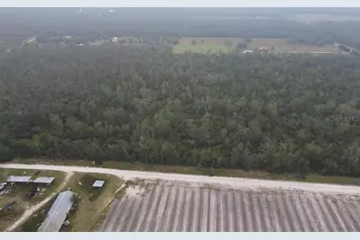 Se Gunpowder Avenue, Madison, FL 32340 - Photo 7