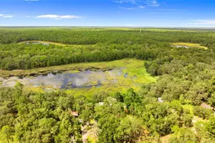 15375 SE 64th Pl, Ocklawaha, FL 32179 - Photo 31