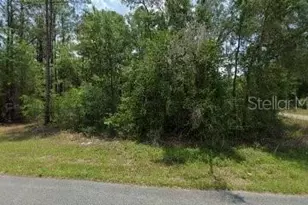 11910 Monica Dr, Citrus Springs, FL 34433 - Photo 1