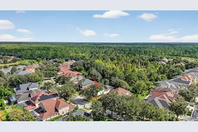 10207 Deercliff Drive, Tampa, FL 33647 - Photo 47