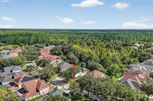 10207 Deercliff Dr, Tampa, FL 33647 - Photo 47