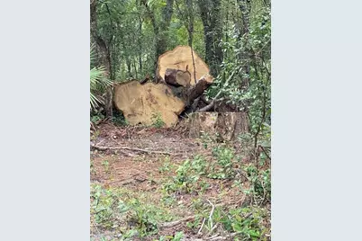 2908 Cleburne Road, Orlando, FL 32817 - Photo 5