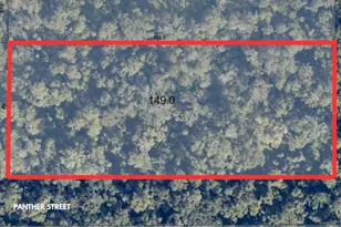 Panther St, Oviedo, FL 32765 - Photo 1