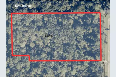 Panther Street, Oviedo, FL 32765 - Photo 1