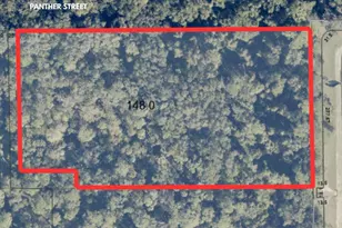 Panther St, Oviedo, FL 32765 - Photo 1