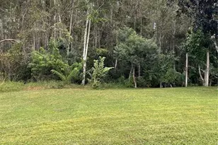 519 Tree Shore Dr, Orlando, FL 32825 - Photo 31