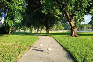 15300 SW 106th Terrace, Miami, FL 33196 - Photo 63