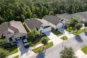 3388 Sagebrush St, Harmony, FL 34773 - Photo 3