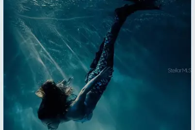 16391 Greenback Road, Weeki Wachee, FL 34614 - Photo 39