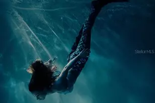 16391 Greenback Rd, Weeki Wachee, FL 34614 - Photo 39