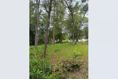 00 7th Street, Orange City, FL 32763 - Photo 3