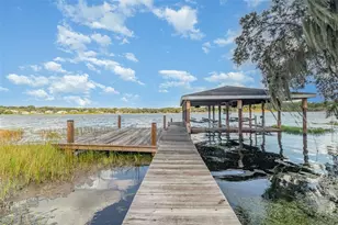 4301 Down Point Ln, Windermere, FL 34786 - Photo 49