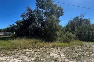 Palm St, Lady Lake, FL 32159 - Photo 1