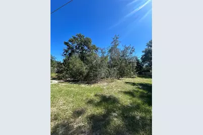 Palm Street, Lady Lake, FL 32159 - Photo 3