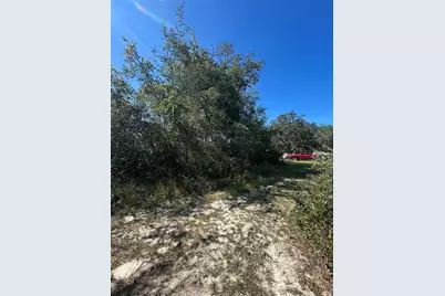 Palm Street, Lady Lake, FL 32159 - Photo 7