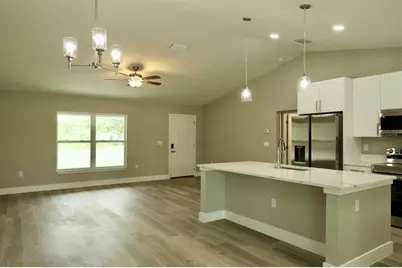 138 Guava Pass Terrace, Ocklawaha, FL 32179 - Photo 3