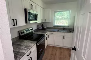 2207 Virginia Ave, Eustis, FL 32726 - Photo 3