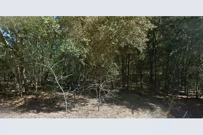 202 Cedar Trail, Interlachen, FL 32148 - Photo 1