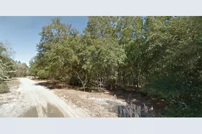 202 Cedar Trail, Interlachen, FL 32148 - Photo 3