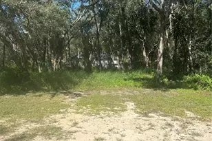 Calamondin St, Lady Lake, FL 32159 - Photo 1