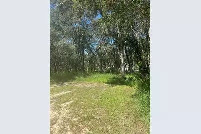 Calamondin Street, Lady Lake, FL 32159 - Photo 3
