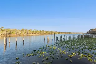 2565 E Osceola Rd, Geneva, FL 32732 - Photo 25