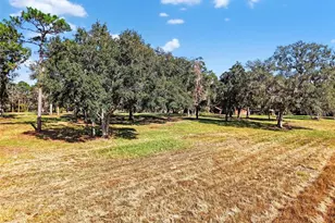 11469 SW 49th Plaza, Webster, FL 33597 - Photo 9