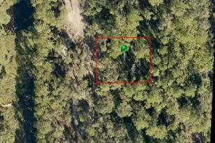 12th St, Deland, FL 32724 - Photo 1