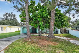 6207 Blossom Ave, Tampa, FL 33614 - Photo 49