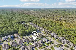 3654 Pini Ave, New Smyrna Beach, FL 32168 - Photo 43