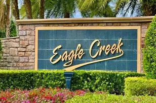 13519 Goostry Point, Orlando, FL 32832 - Photo 75