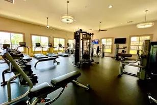 13519 Goostry Point, Orlando, FL 32832 - Photo 69