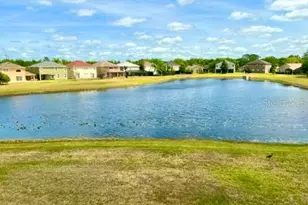 13519 Goostry Point, Orlando, FL 32832 - Photo 21