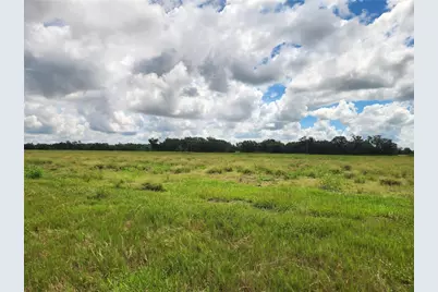 9022 Gough Road, Ona, FL 33865 - Photo 7