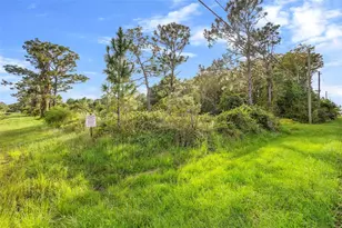 19450 Ralston St, Orlando, FL 32833 - Photo 1