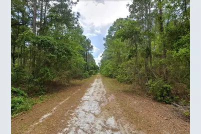 210 SE 1st Street, Georgetown, FL 32139 - Photo 9