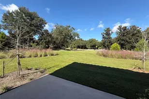 3684 Cir Hook St, Kissimmee, FL 34746 - Photo 39