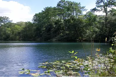 218 SE 1st Street, Georgetown, FL 32139 - Photo 11