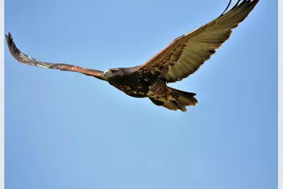 218 SE 1st Street, Georgetown, FL 32139 - Photo 13