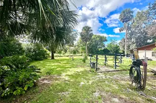 315 S Clayton St, Mount Dora, FL 32757 - Photo 31