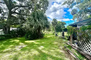 315 S Clayton St, Mount Dora, FL 32757 - Photo 29