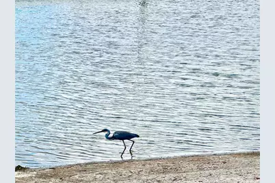 315 S Clayton Street, Mount Dora, FL 32757 - Photo 19