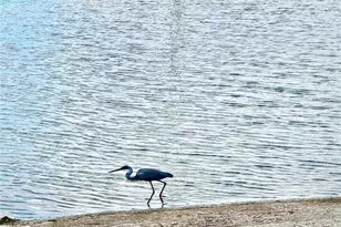 315 S Clayton St, Mount Dora, FL 32757 - Photo 19