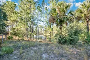 348 Summerville Ln, Sanford, FL 32771 - Photo 31