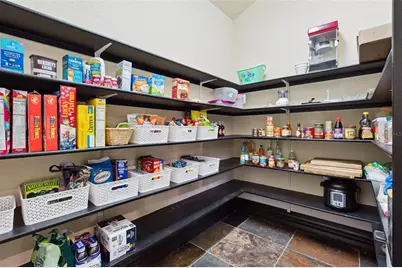 6507 Rosella Court, Windermere, FL 34786 - Photo 31