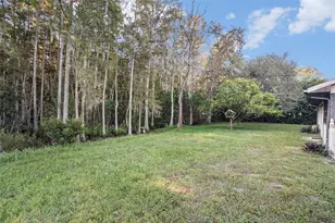 7320 Auburn Ln, New Port Richey, FL 34654 - Photo 25