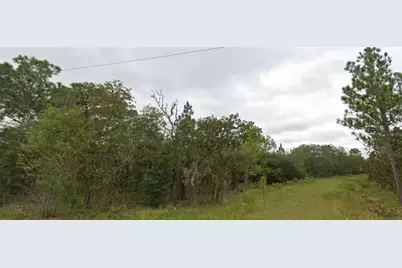 Ne 151 Terrace, Williston, FL 32696 - Photo 1