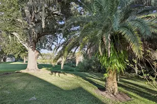 6767 Cherry Grove Cir, Orlando, FL 32809 - Photo 47